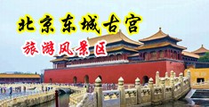 女性阴道视频网站大全中国北京-东城古宫旅游风景区